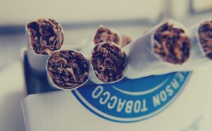 Tytoń jest produktem roślin tytoniowych